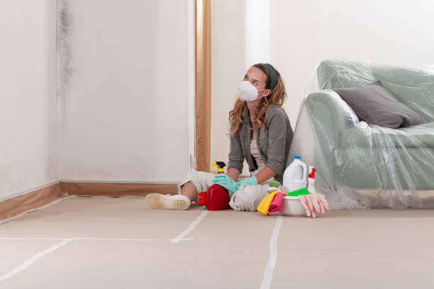 Reliable Mold Cleanup contractor in Hope Mills, NC by WQB Mold Removal