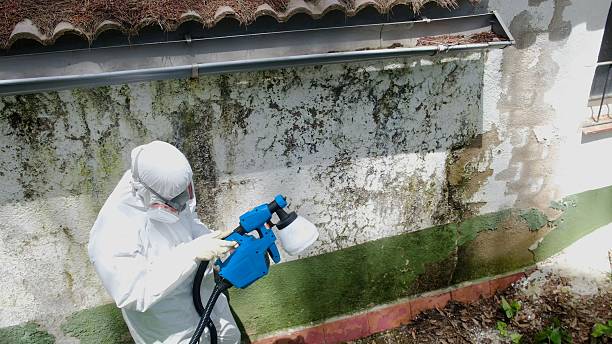 Top rated local Mold Cleanup specialists in Hope Mills, NC